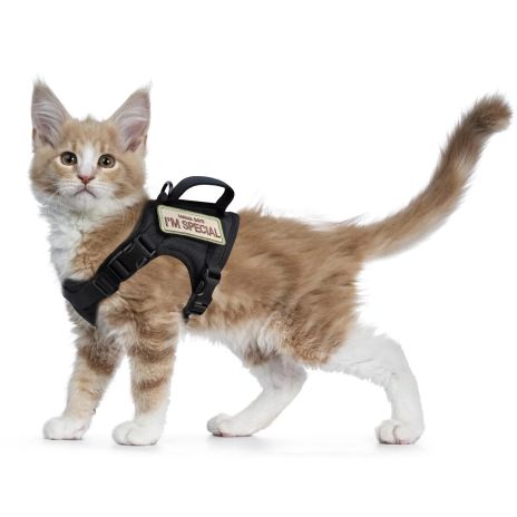 ThreePigeons™ Tactical Cat Harness for Walking Escape Proof