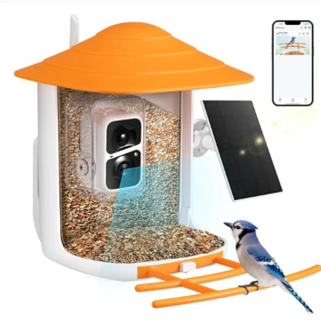 ThreePigeons™ Smart Bird Feeder with Camera Solar Powered
