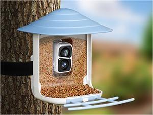 ThreePigeons™ Smart Bird Feeder with Camera Solar Powered