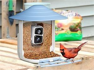 ThreePigeons™ Smart Bird Feeder with Camera Solar Powered