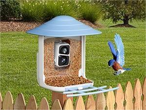 ThreePigeons™ Smart Bird Feeder with Camera Solar Powered