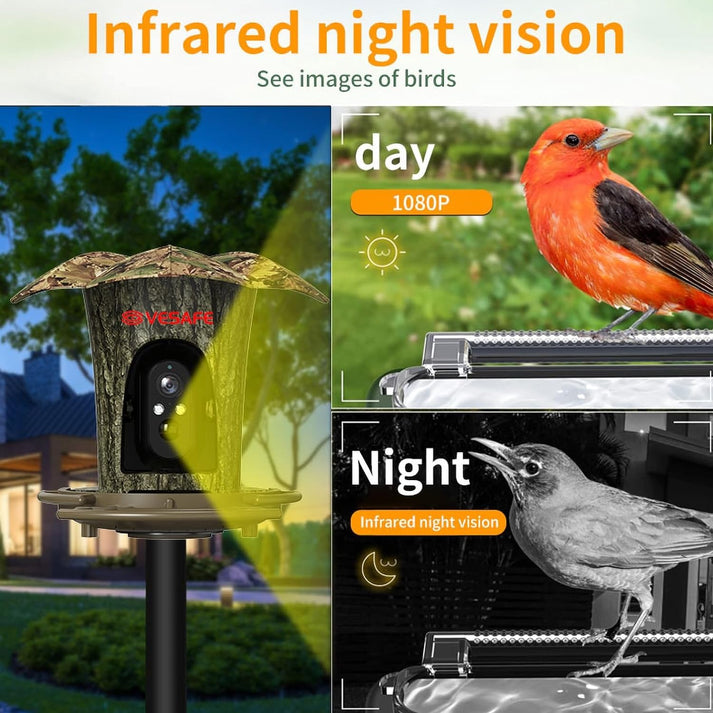 ThreePigeons™ Smart Bird Feeder Camera with Solar Panel - 1080P HD Camera