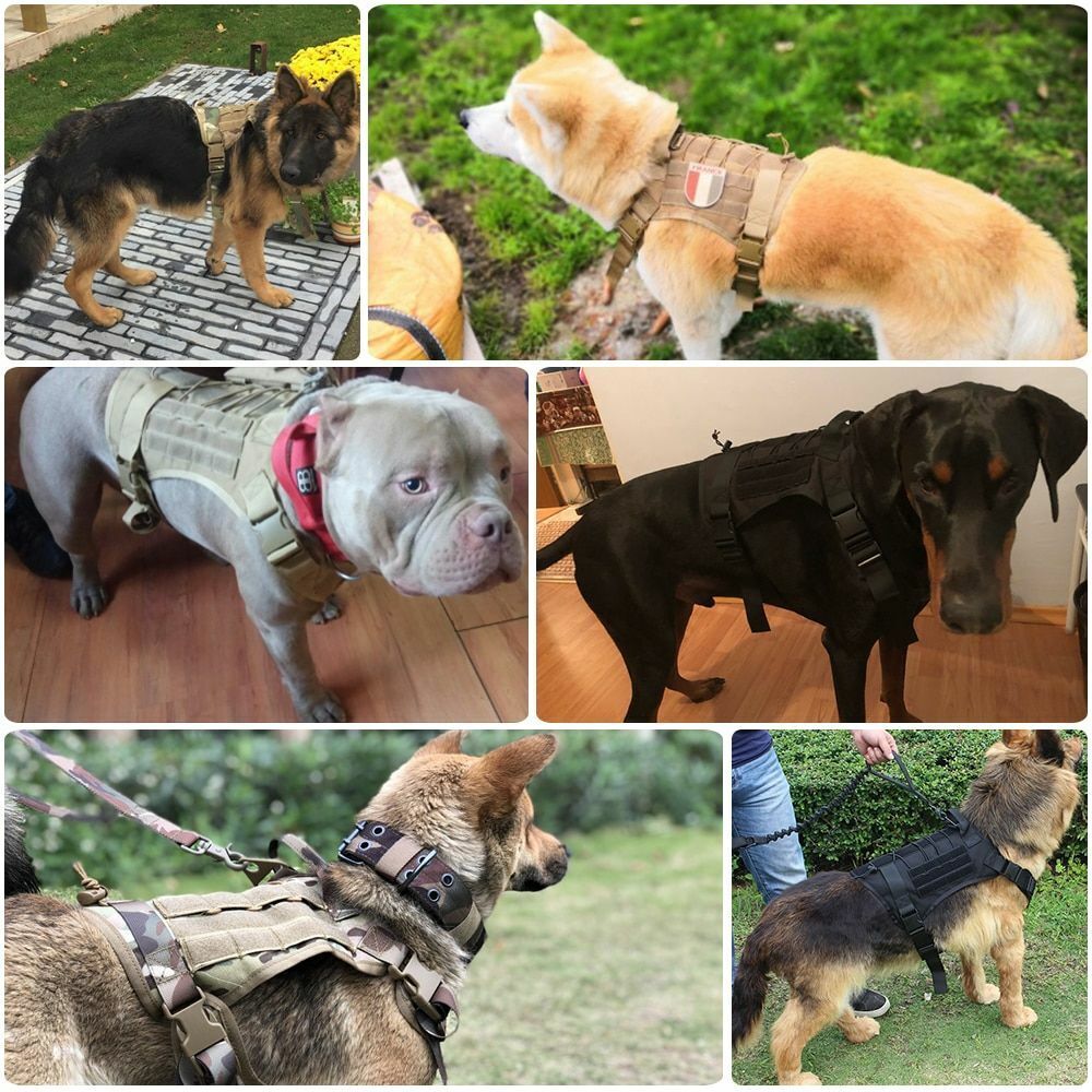 ThreePigeons™ Military Tactical Dog Harness Pet Training Vest Dog Harness